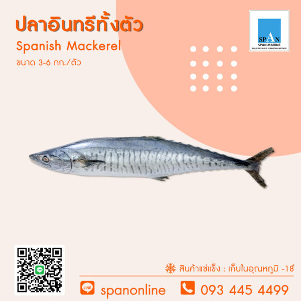 ปลาอินทรีย์ทั้งตัว