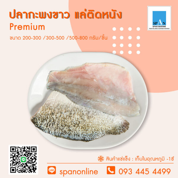 1.ปลากะพงขาว แล่ติดหนัง