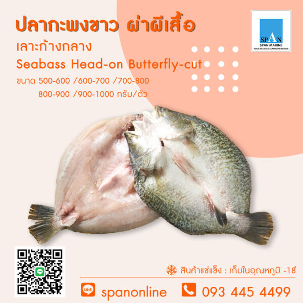 3.ปลากะพงขาวผ่าผีเสื้อ