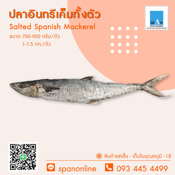 ปลาอินทรีย์เค็ม