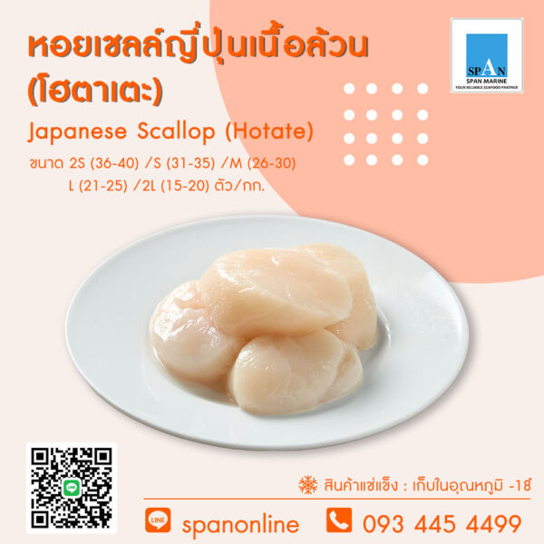 หอยเชลล์เนื้อล้วนโฮตาเตะ (ญี่ปุ่น)
