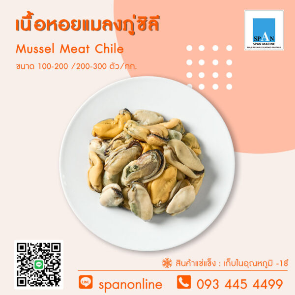 เนื้อหอยแมลงภู่ (ชิลี)