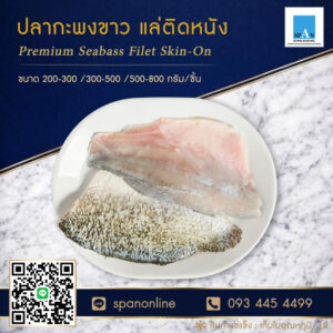 กะพงขาว-500-800