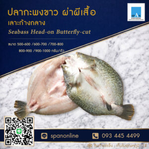 กะพงขาวผ่าผีเสื้อ
