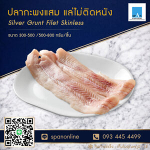 กะพงแสม-500-800
