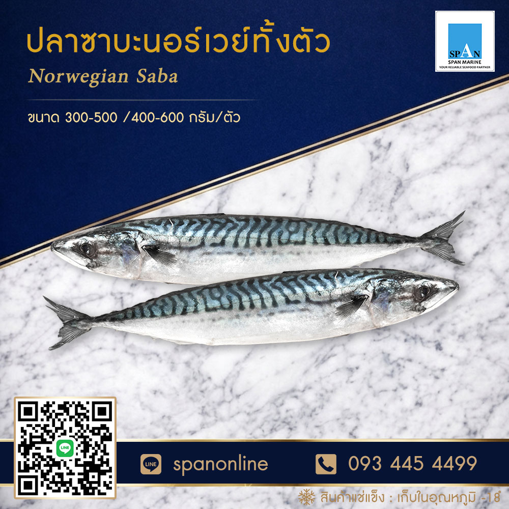 ซาบะทั้งตัว
