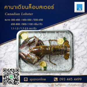 ล็อบสเตอร์