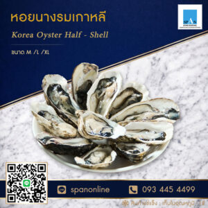หอยนางรม