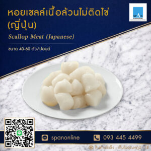 หอยเชลล์ญี่ปุ่น