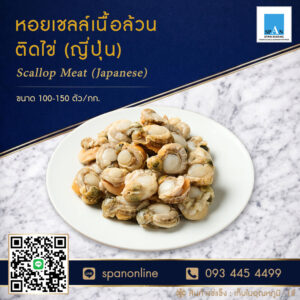 หอยเชลล์ติดไข่