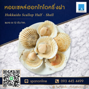 หอยเชลล์ฮอกไกโด
