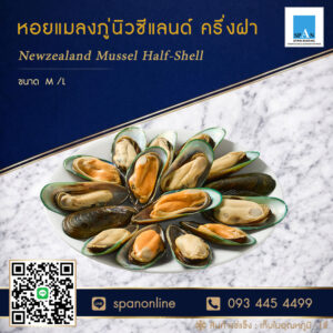 หอยแมลงภู่-NZ