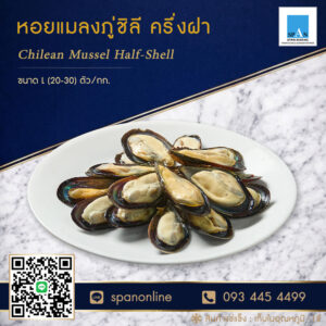 หอยแมลงภู่ชิลี