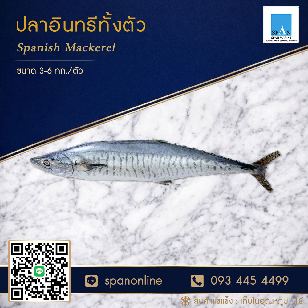 อินทรี