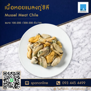 เนื้อหอยแมลงภู่ชิลี