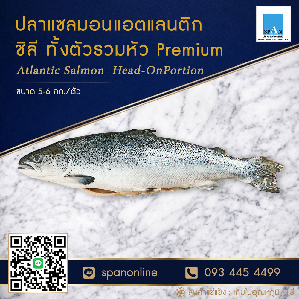 แซลมอนตัวชิลี