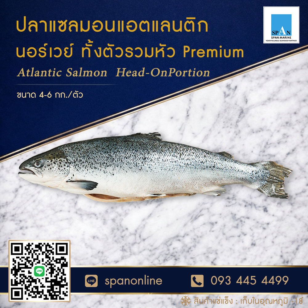 แซลมอนตัวนอร์เวย์