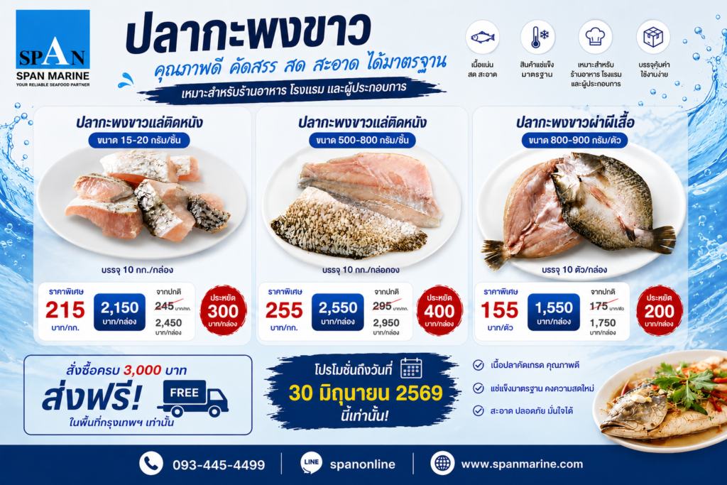 โปรโมชั่นปลากะพงขาวแช่แข็ง ราคาพิเศษ ปลากะพงแล่ติดหนัง และปลากะพงผ่าผีเสื้อ จาก Span Marine